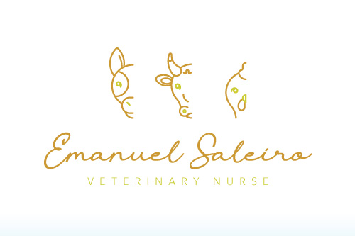 Services | Graphic design | Logo Emanuel Saleiro | Vet Inflow