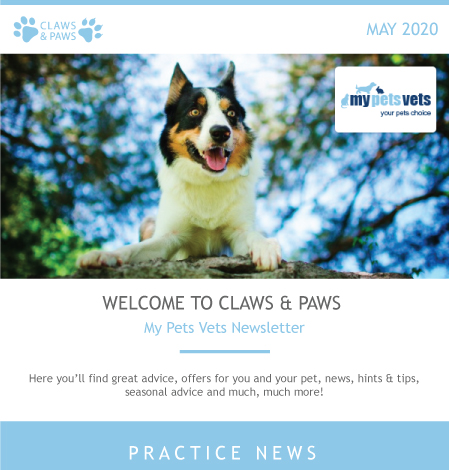 Services | Newsletters | My Pets Vets | Vet Inflow